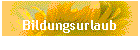 Bildungsurlaub